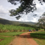 image10