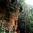 image12