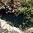 image15