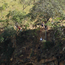 image10