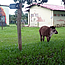 image02
