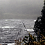 image10