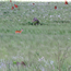 image20
