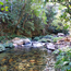image12