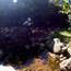 image05