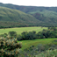image10