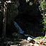 image06