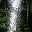 image03