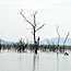 image01