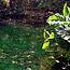 image11